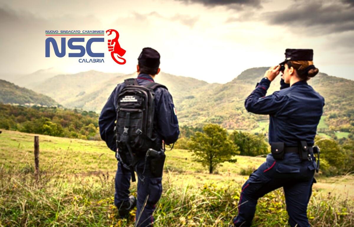 NSC Calabria «I nostri carabinieri forestali  trattati come la “Cenerentola” dell’Arma» - 
