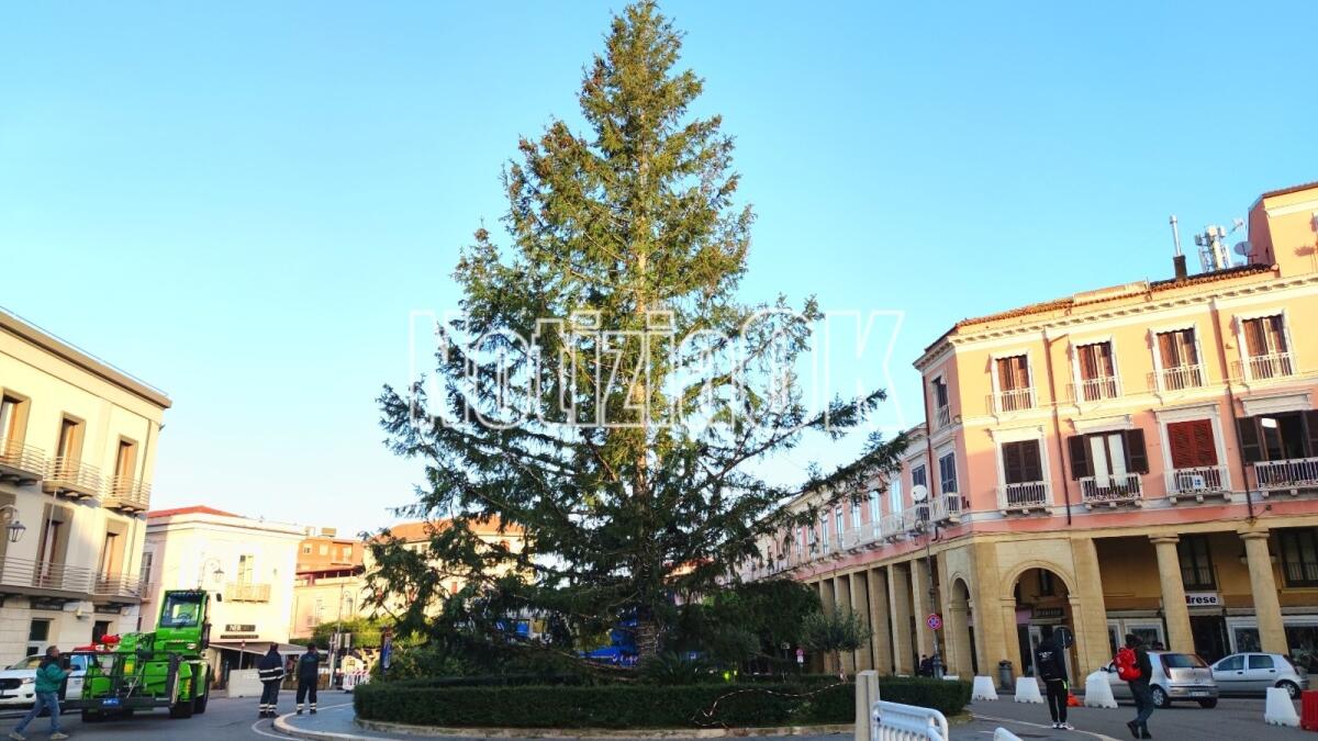 Crotone, parte il conto alla rovescia per l'accensione dell'albero in piazza - 