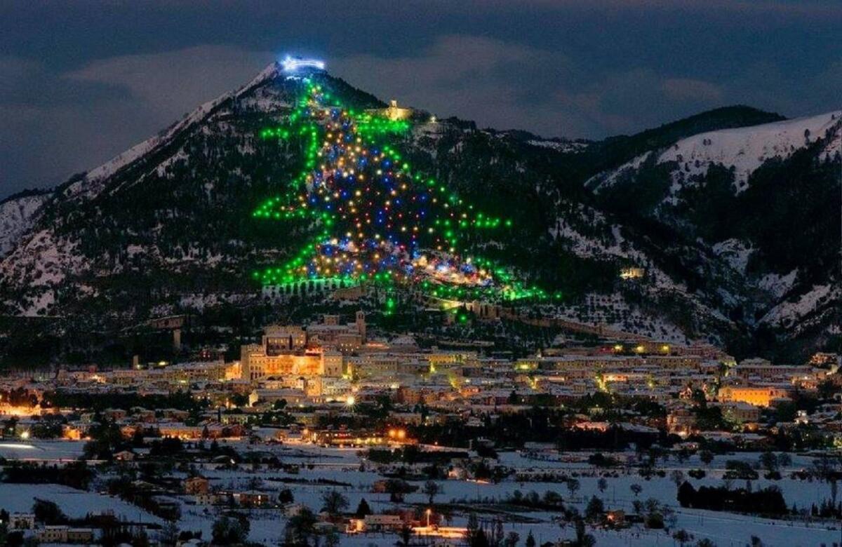L'Albero di Natale più grande d'Italia? Ecco dove si trova - 