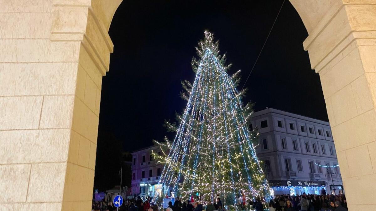 Crotone - Si illumina l'albero di Natale in piazza ed è già festa - 
