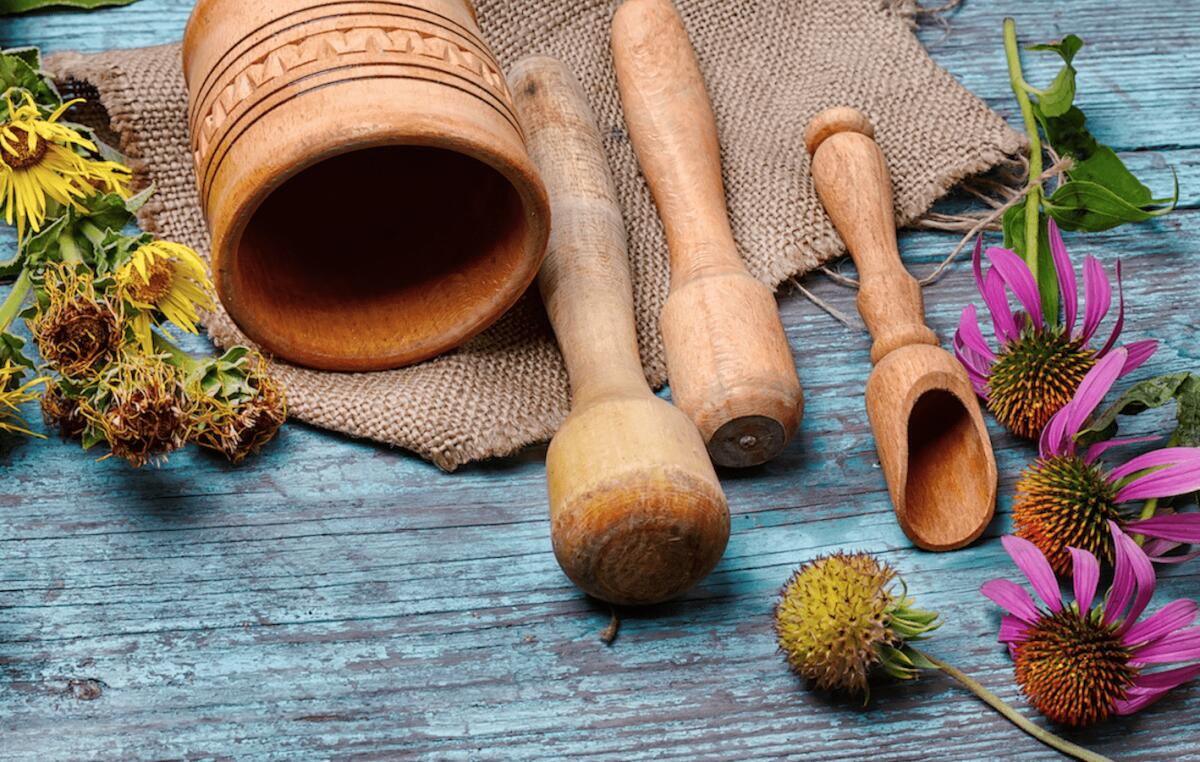 Il freddo è arrivato, rinforziamo il sistema immunitario con l'echinacea - 
