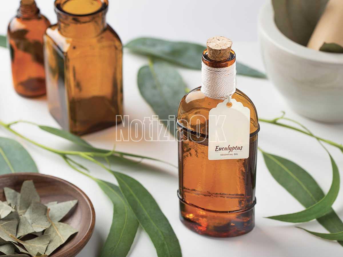 Lifestyle / I miracoli del borotalco sulle rose - 