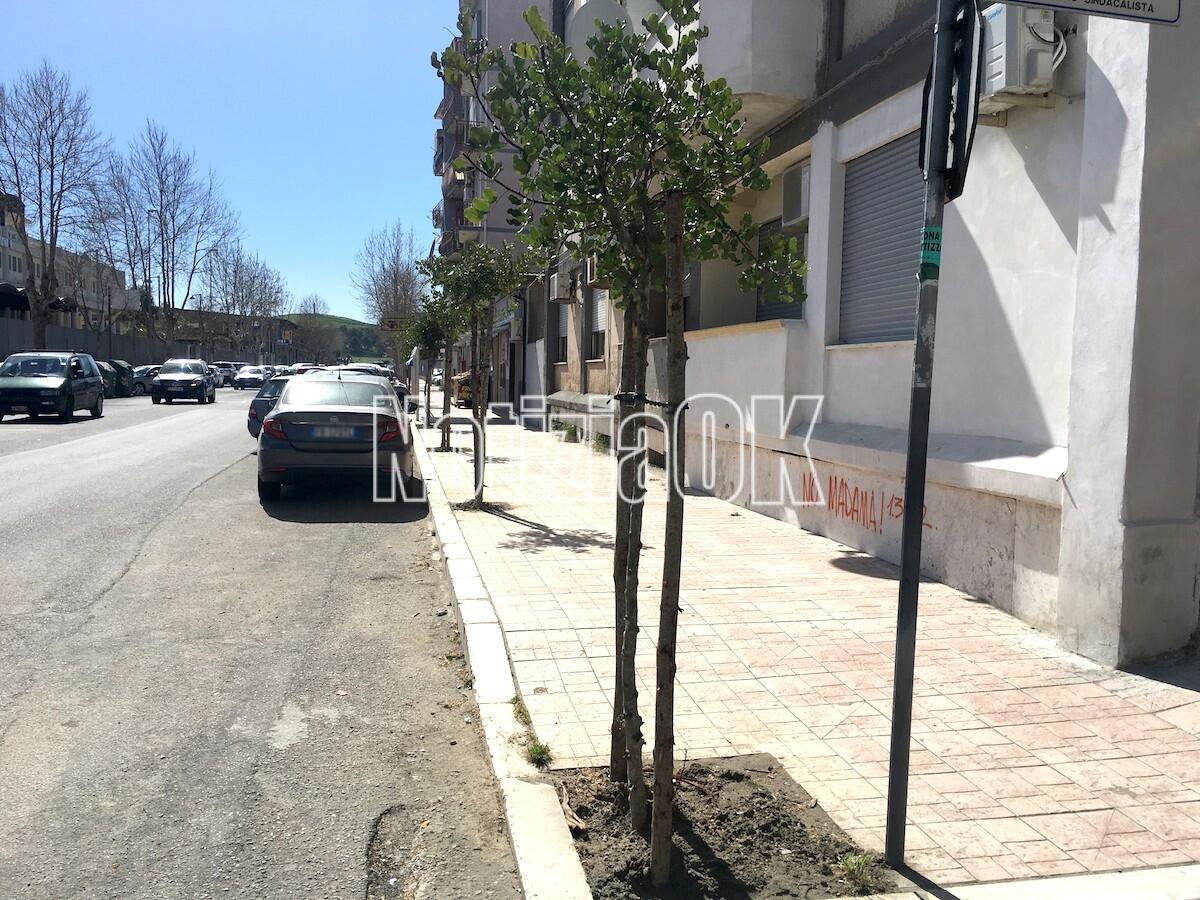 Crotone, al via nuovi cantieri in città - 