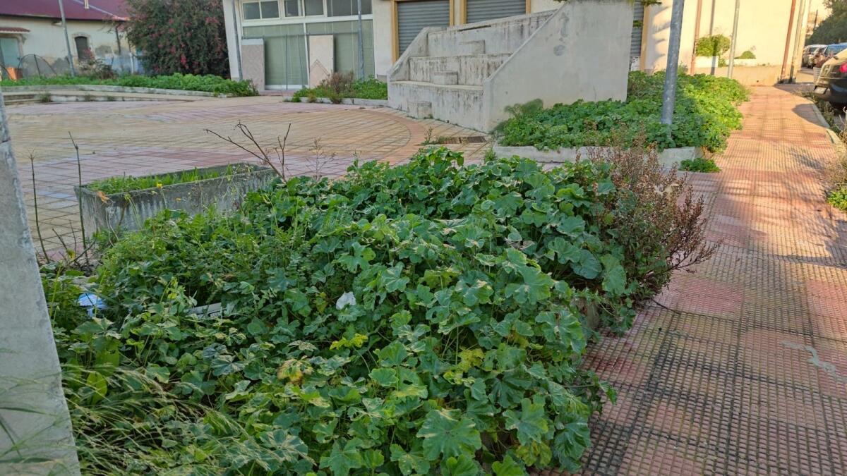 Crotone, spazi sempre verdi: l'utilità è sconosciuta - 