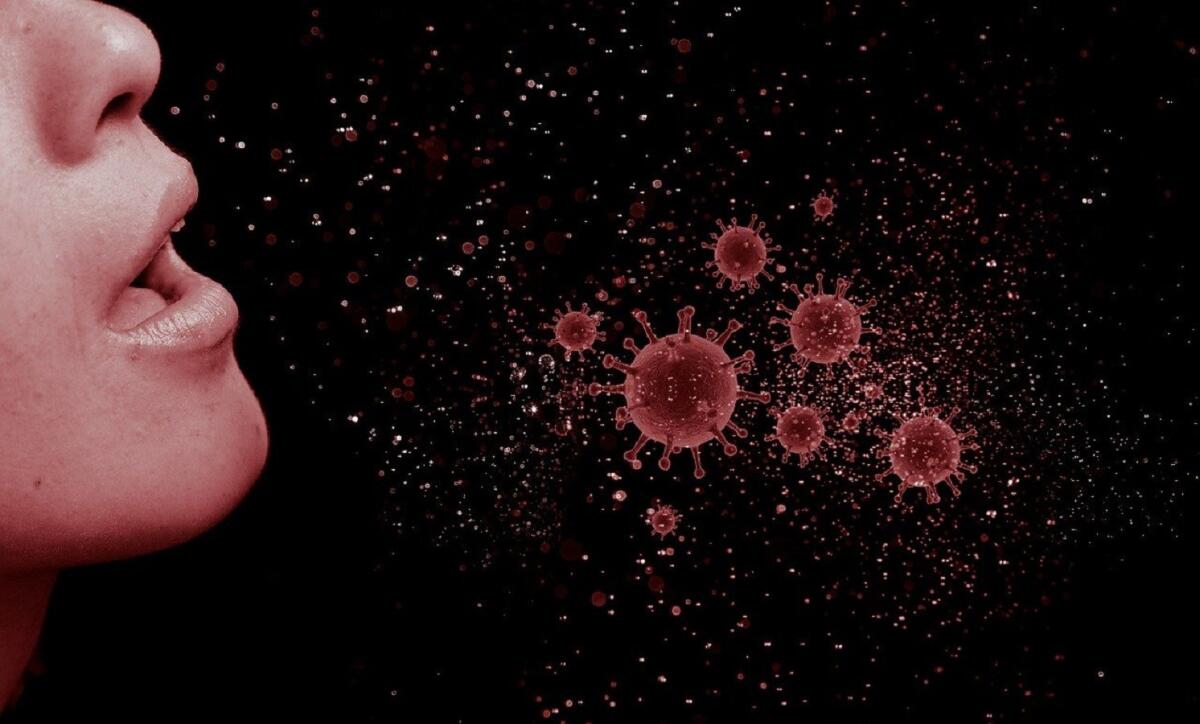 Coronavirus, chiude il numero verde 1500: più di 500 persone rimangono però senza lavoro - 