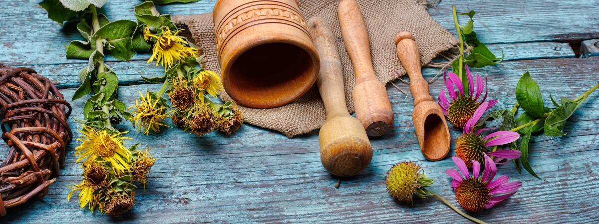 Lifestyle / La battaglia contro i malanni di stagione inizia a tavola - Summer medicinal plant inula and echinacea in the popular recipes