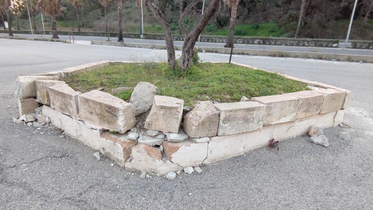 Crotone - Quartieri: Falcone, Borsellino e quel ricordo sbiadito... - Crotone - Albero d'ulivo via Falcone e Borsellino