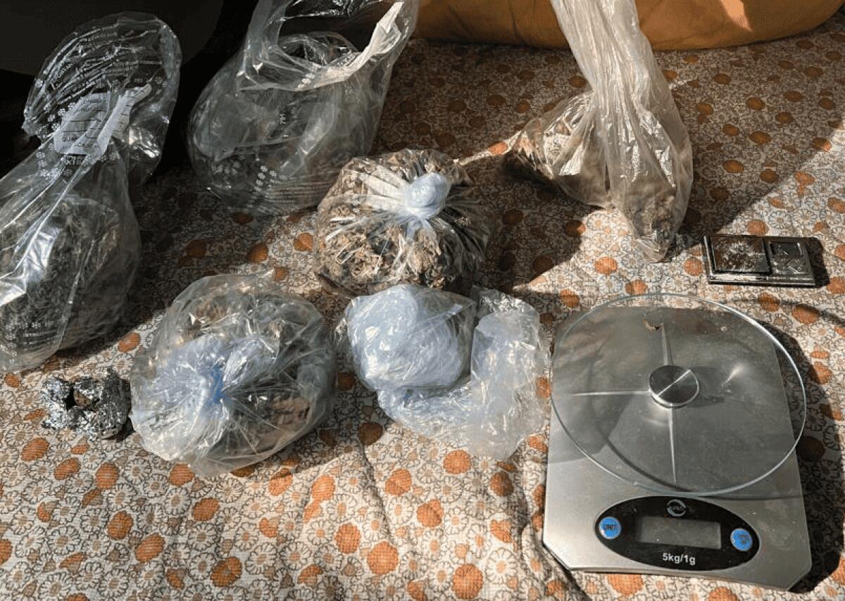 Operazione in Calabria, rinvenuti 400 gr di stupefacente - 
