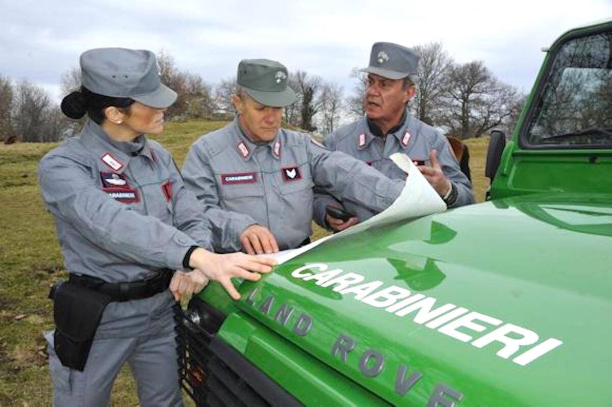 Carabinieri forestali, in Calabria 54mila controlli nel 2022 -