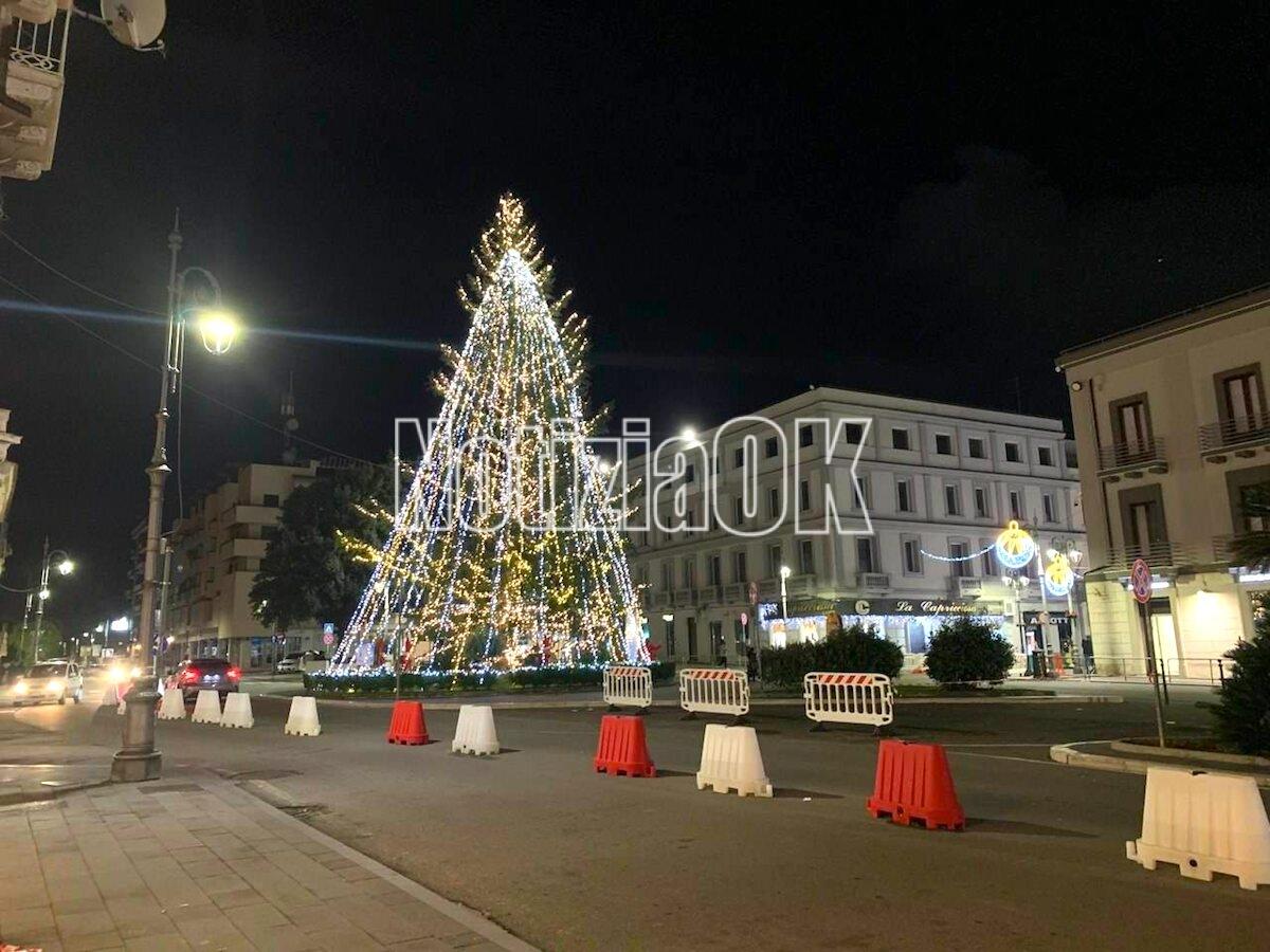 Rimozione dell'albero di Piazza Pitagora: i provvedimenti per la viabilità - 
