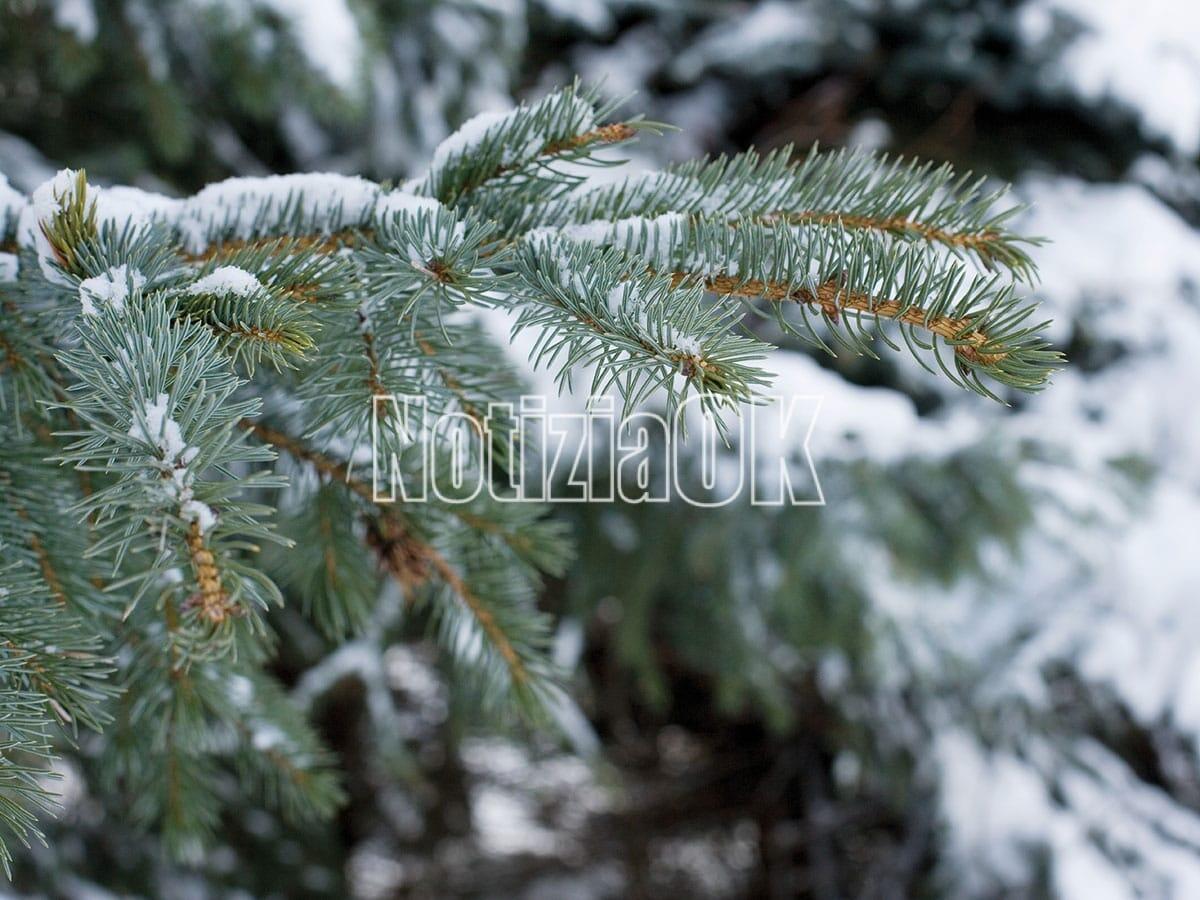 Neve in Calabria: la colonnina di mercurio scende sotto lo zero - 