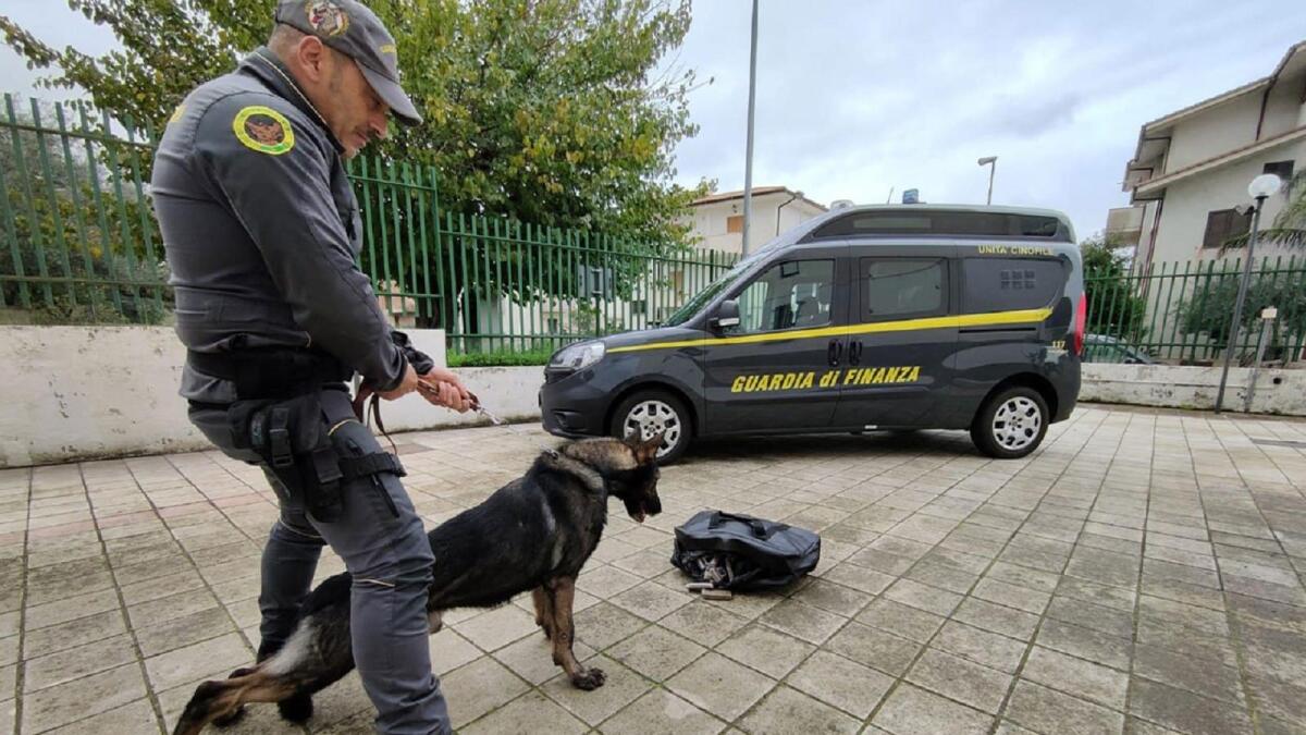 Sequestrati in Calabria dieci chilogrammi e mezzo di cocaina: in manette un venticinquenne - 