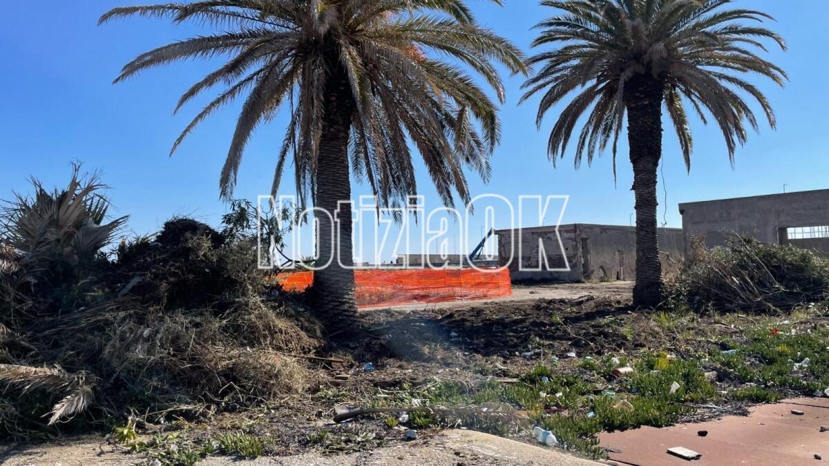Guerri: "Rendere l'area Sensi una tela bianca per disegnare il futuro del Porto di Crotone" - 
