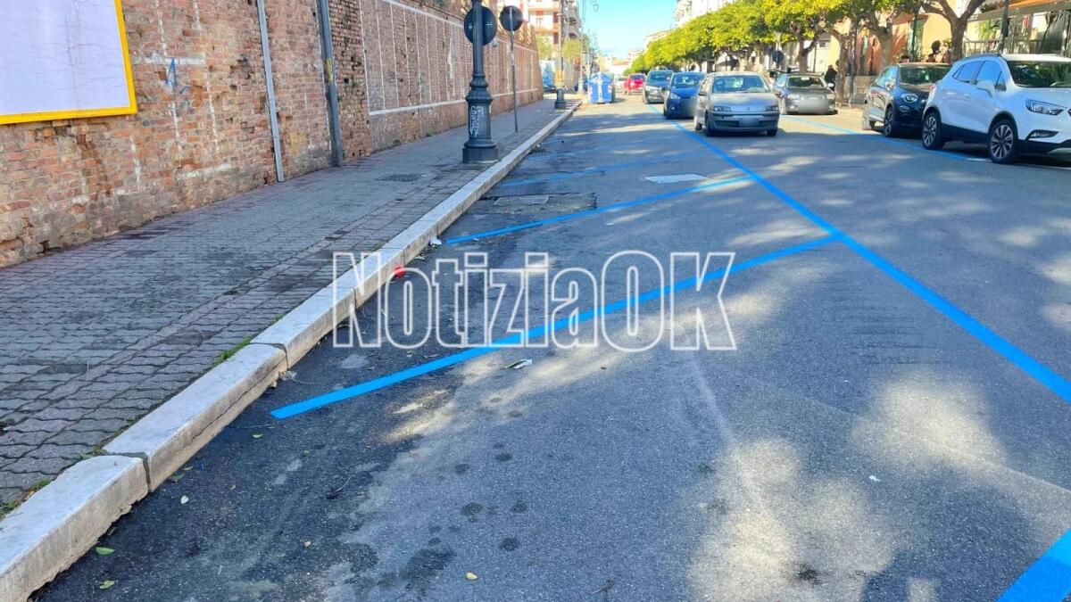 Crotone - Alleanza Verdi e Sinistra: «Le strisce blu colpiscono le fasce deboli» - 