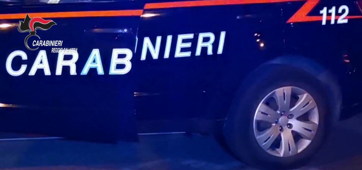 'Ndrangheta - Latitante dal 2006 arrestato in Francia, Occhiuto: "Plauso allo Stato contro la criminalità" - 