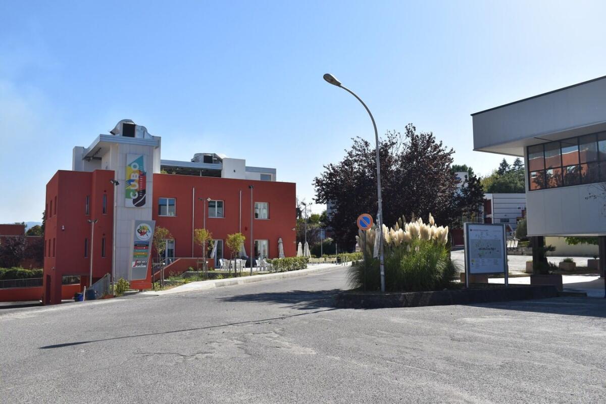 L’Università della Calabria premia i migliori studenti con 500 euro - 