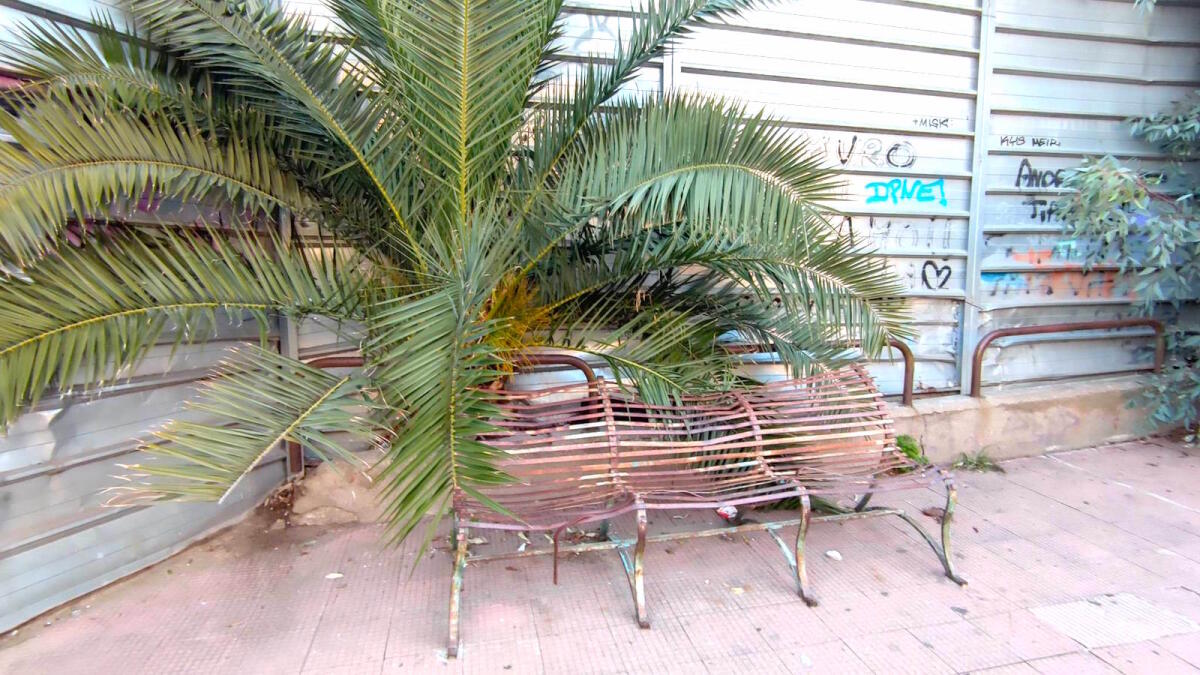 Crotone - Quartieri: una panchina "fantasma" nel cuore della città - Crotone - Via Antonio Daniele