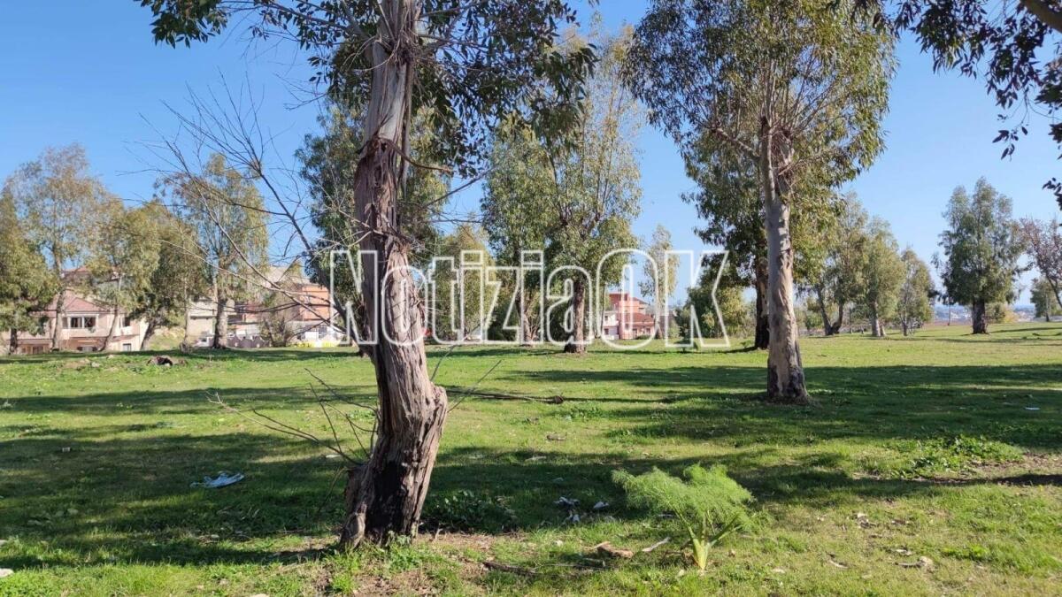 A Isola C.R. una nuova futuristica realtà: nasce la nuova "Villa Ilice" - 