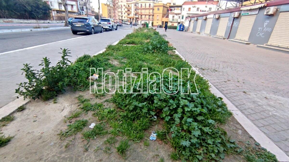 Crotone - Quartieri: a Sanremo le rose di Blanco, in città l'erba di nessuno - 
