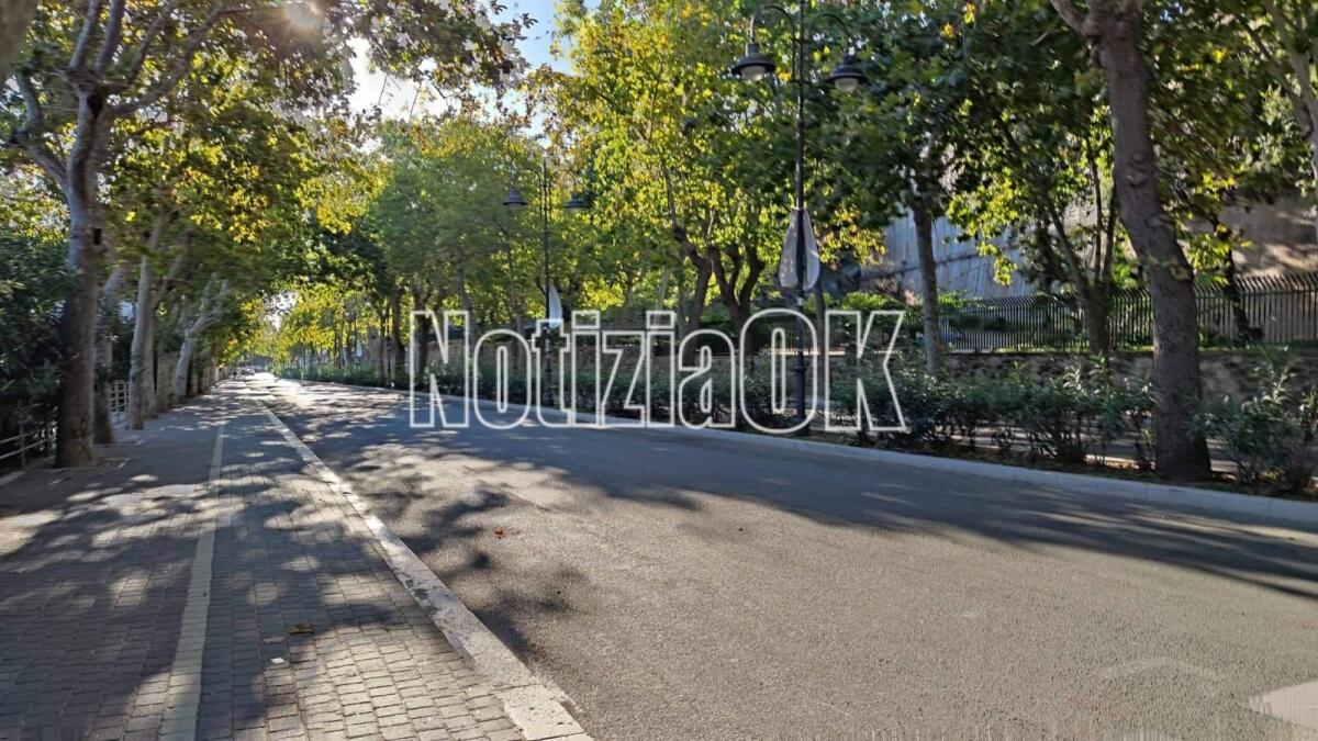 Sondaggio - Viale Regina Margherita: passeggiata, parcheggio o fiera? Dicci la tua! - 