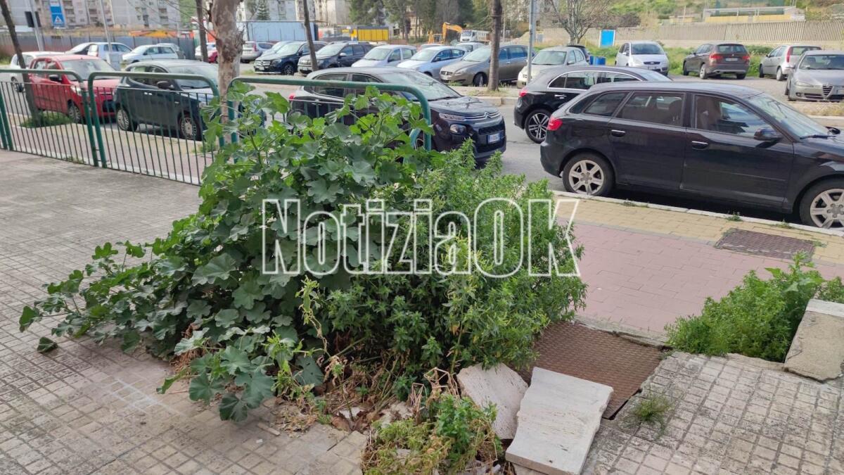 Crotone - Quartieri: in via Gioacchino da Fiore spazio al puro degrado - 