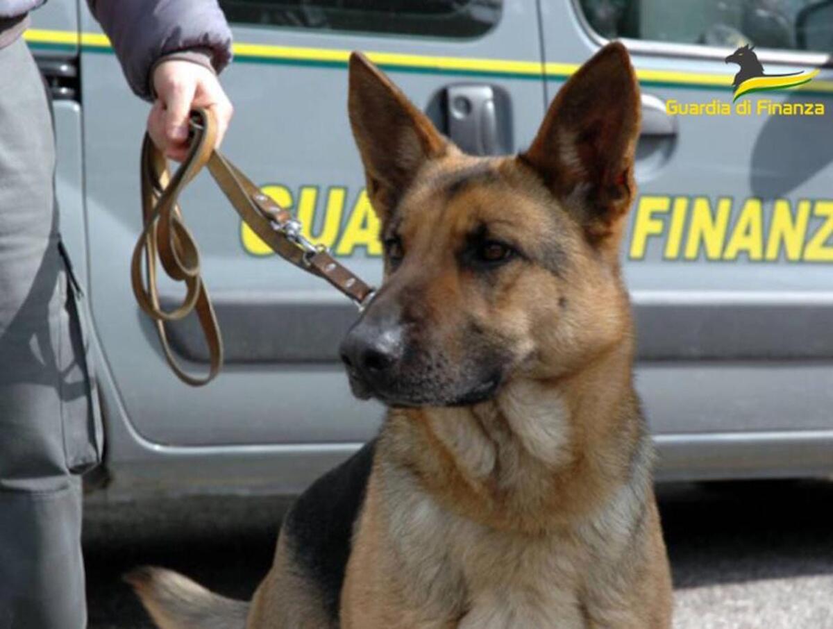 Spaccio di droga davanti alle scuole: arrestato in Calabria un diciassettenne - 