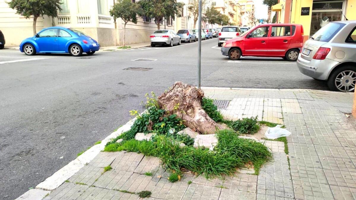 Crotone - Quartieri: anno nuovo e vecchi problemi in via Reggio - 