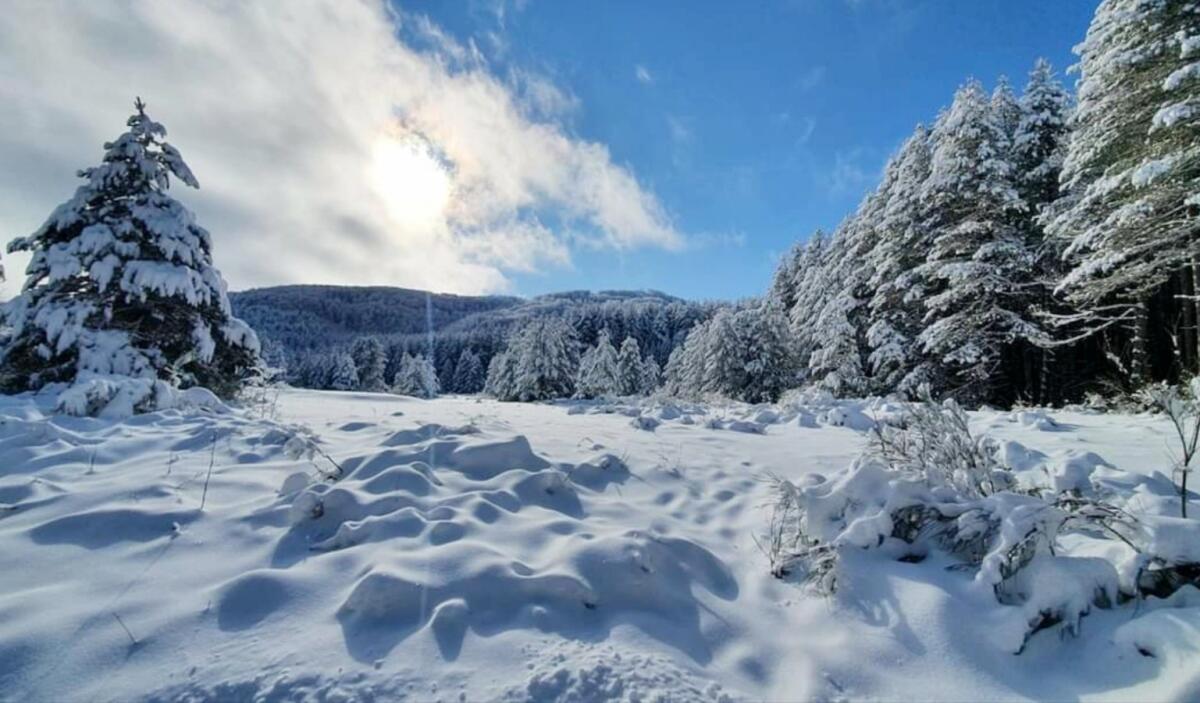 Lorica, un villaggio dance sulle piste da sci: si balla sulla neve - 
