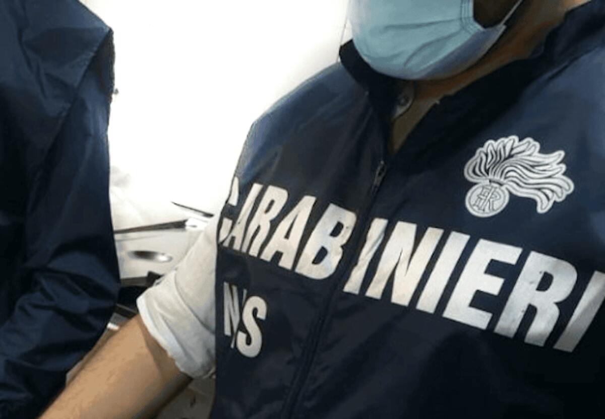 Operazione dei Carabinieri in Calabria: sequestrate 3,5 tonnellate di prodotti caseari - 