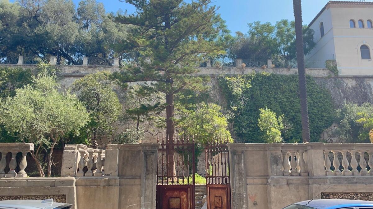 Crotone, lavori all'Orto Tellini per restituirlo alla città - 
