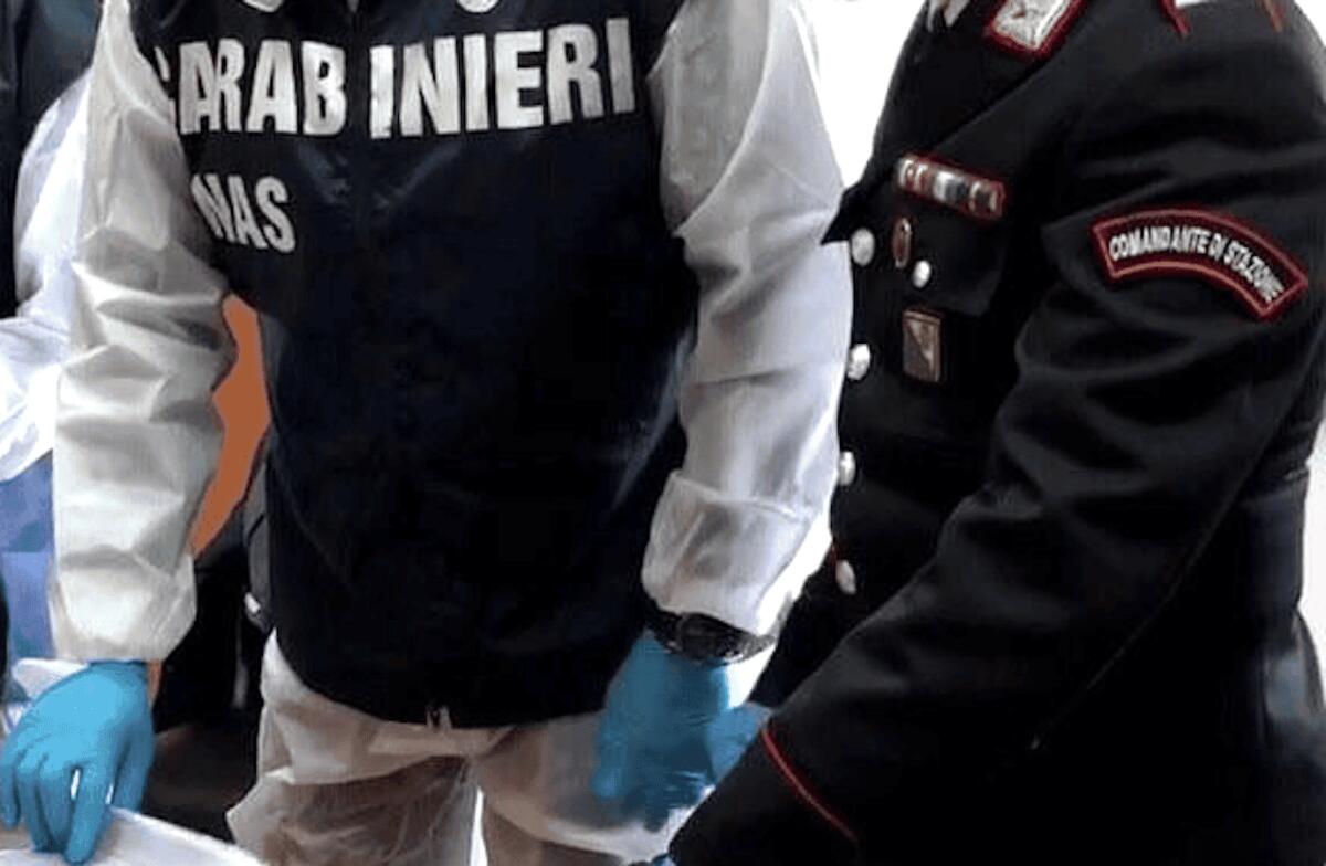Controlli nelle mense scolastiche: in Calabria 42 ispezioni dei Carabinieri del Nas - 