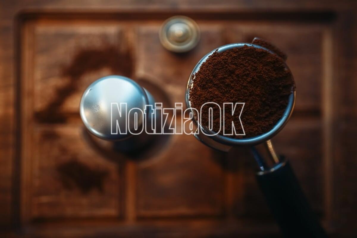 Lifestyle / Come riconoscere il caffè più buono - Turk with fresh ground coffee stands on wooden counter in espresso cafe, cafeteria interior on background. Barista occupation