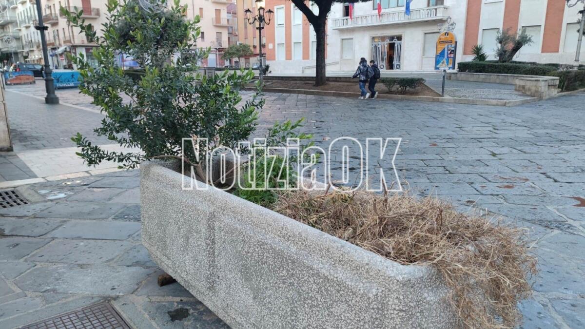 Crotone - Quartieri: fioriere degradate, in via V. Veneto due facce della stessa medaglia - 