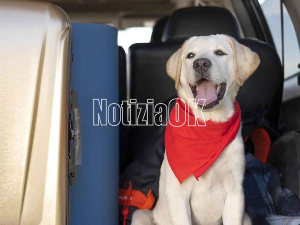Scandale, progetto dedicato ai ragazzi sul rispetto degli animali - 