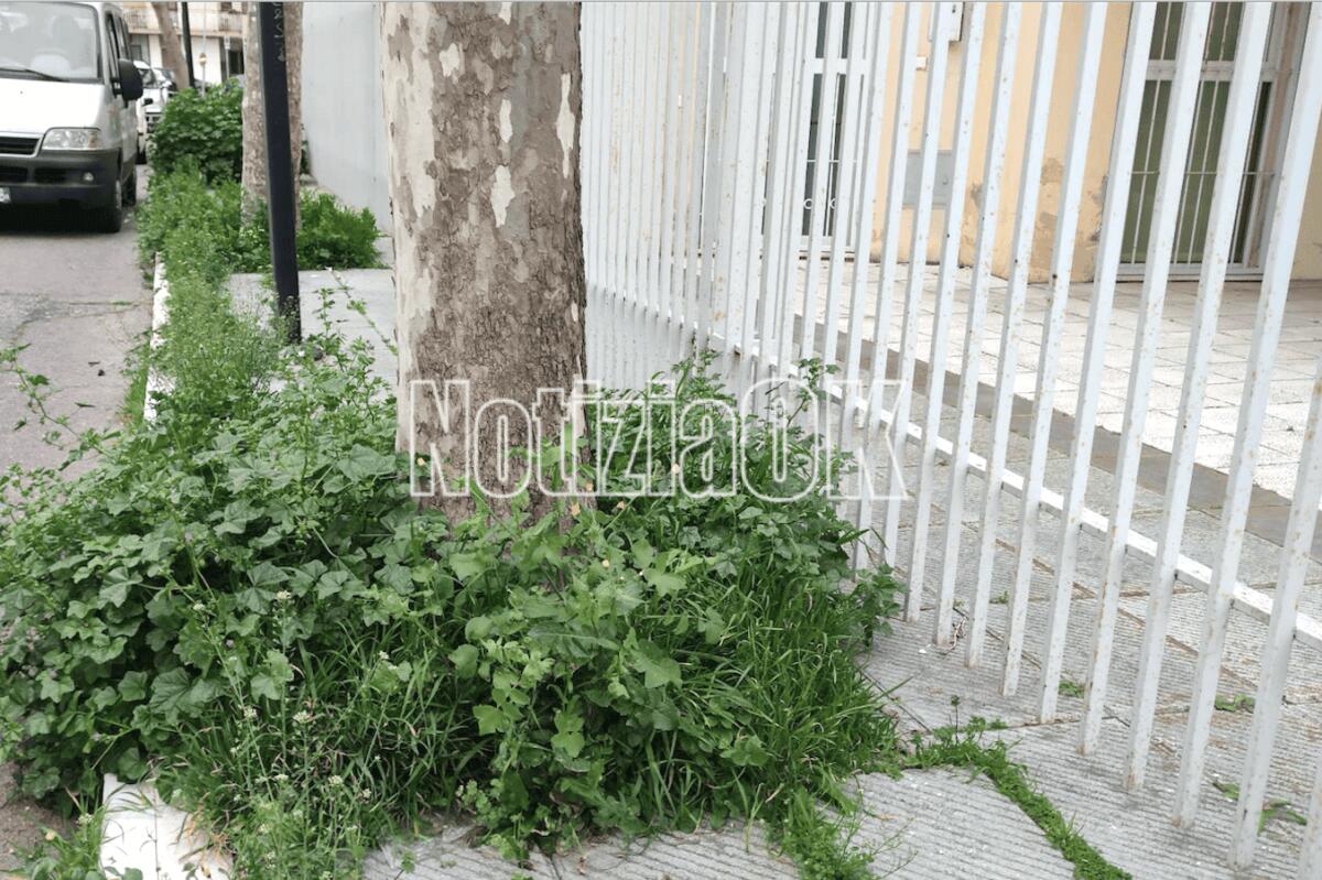 Crotone - Quartieri: un marciapiede frutto dell’ingegno - 