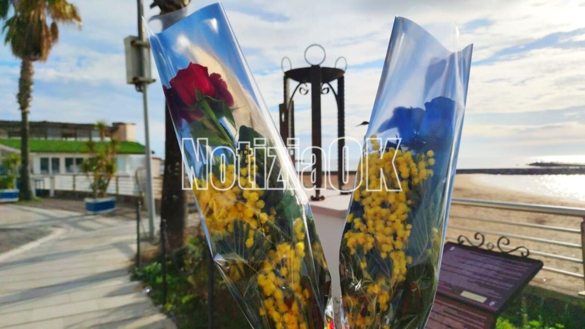 #8marzo2023, la donna celebrata a Crotone tra mimose, eventi, e ristoranti prenotati - 