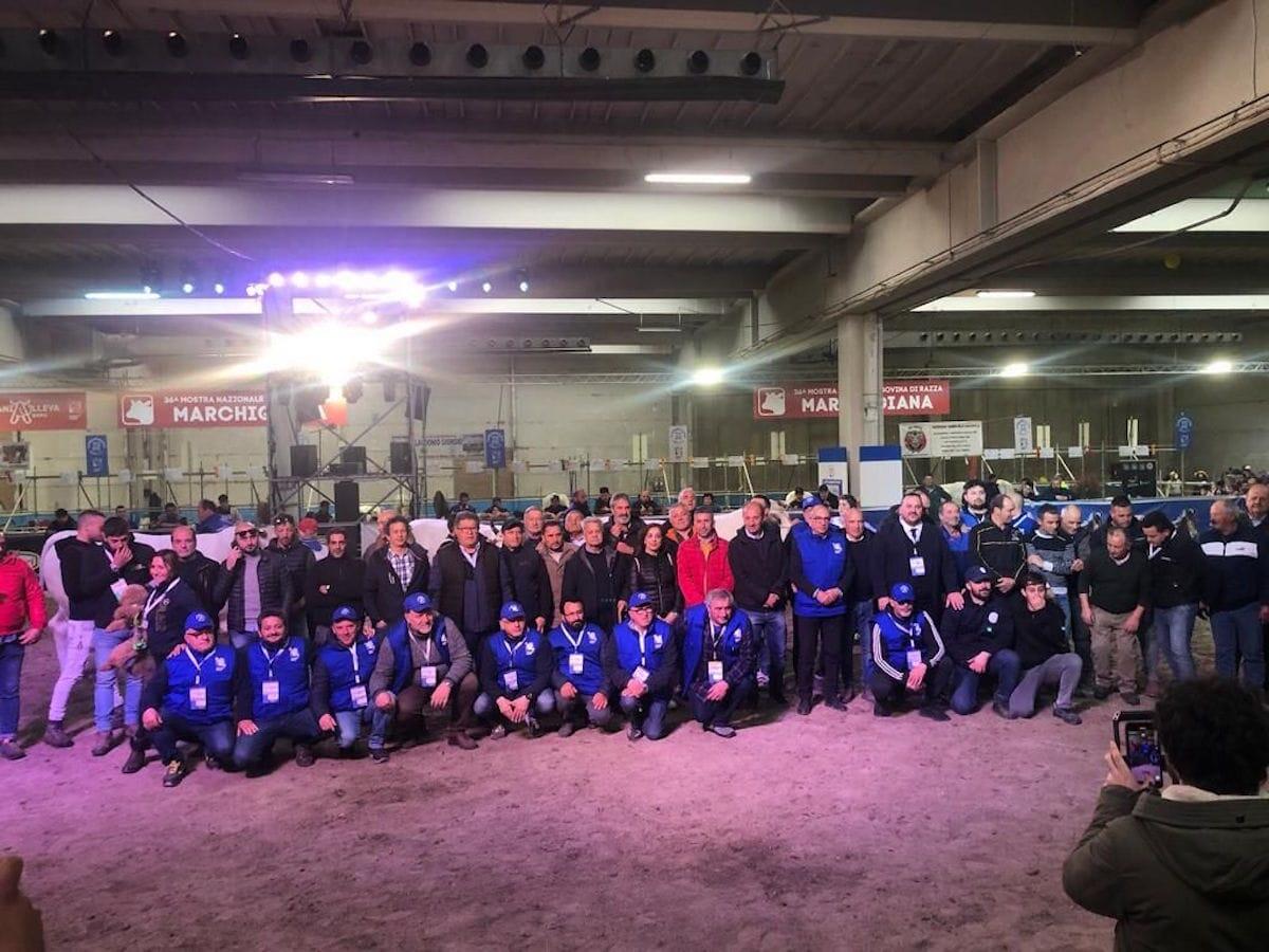 Calabria: premiati gli allevatori calabresi di razza podolica - 