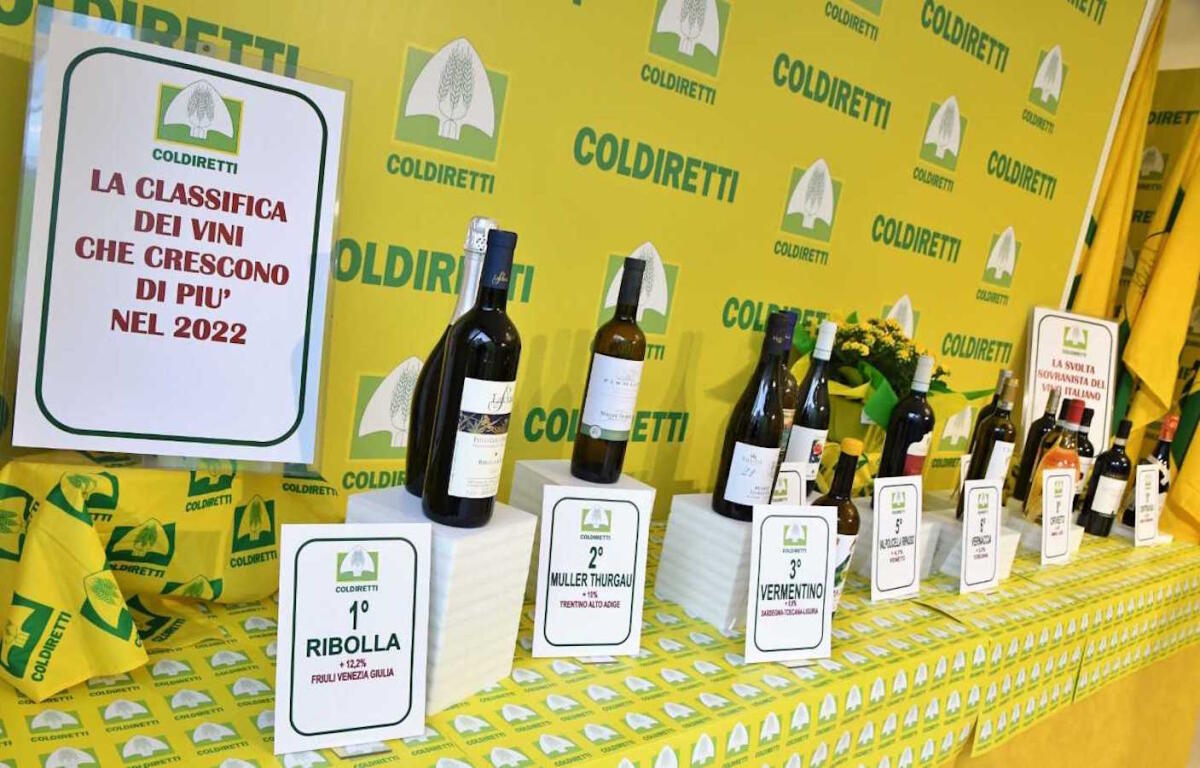 Al Vinitaly, vincono le bottiglie autoctone: il vino Cirò nella top 15 dei vini sovranisti - 