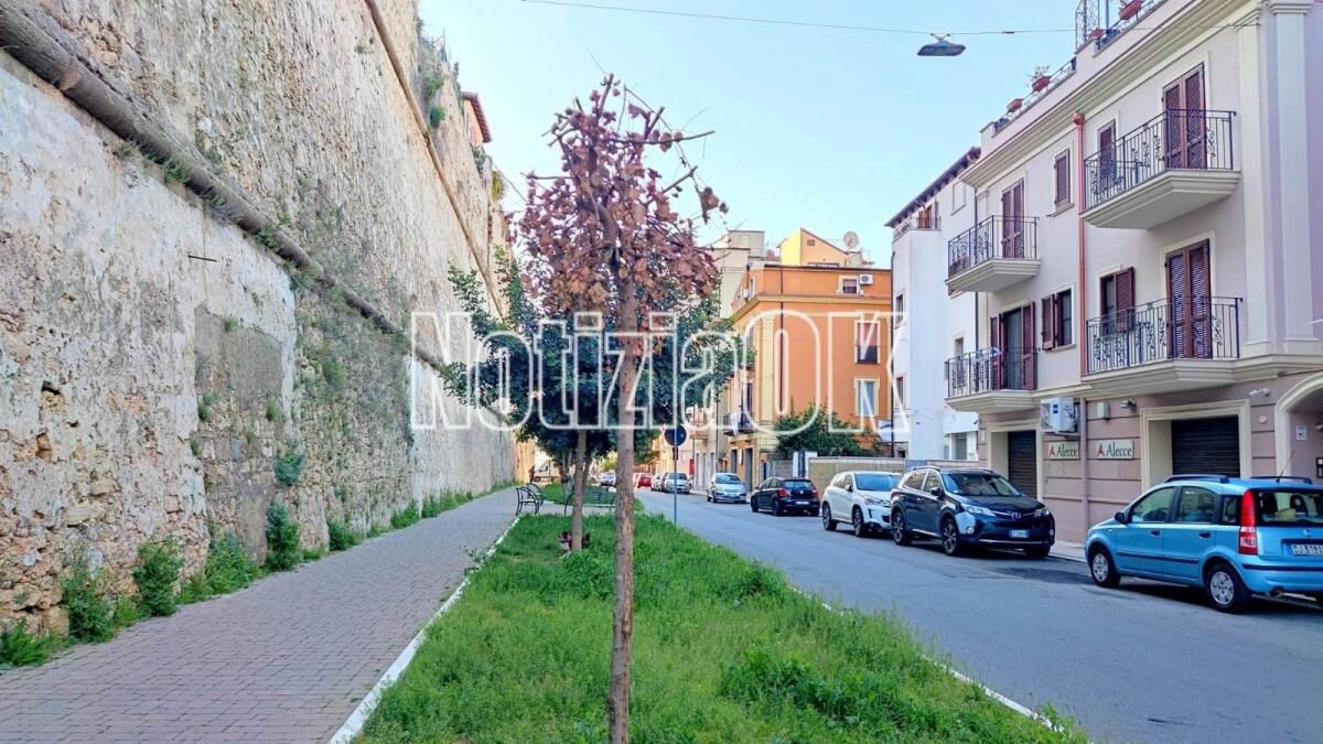 Crotone - Quartieri: arriva la primavera ma in via Tellini sembra quasi autunno - 