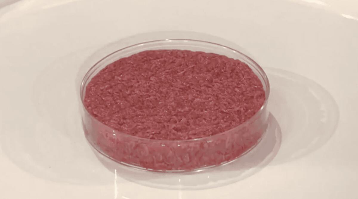 Cibo sintetico: dal Rapporto Fao Oms 53 pericoli per cibo, allergie e cancro - 