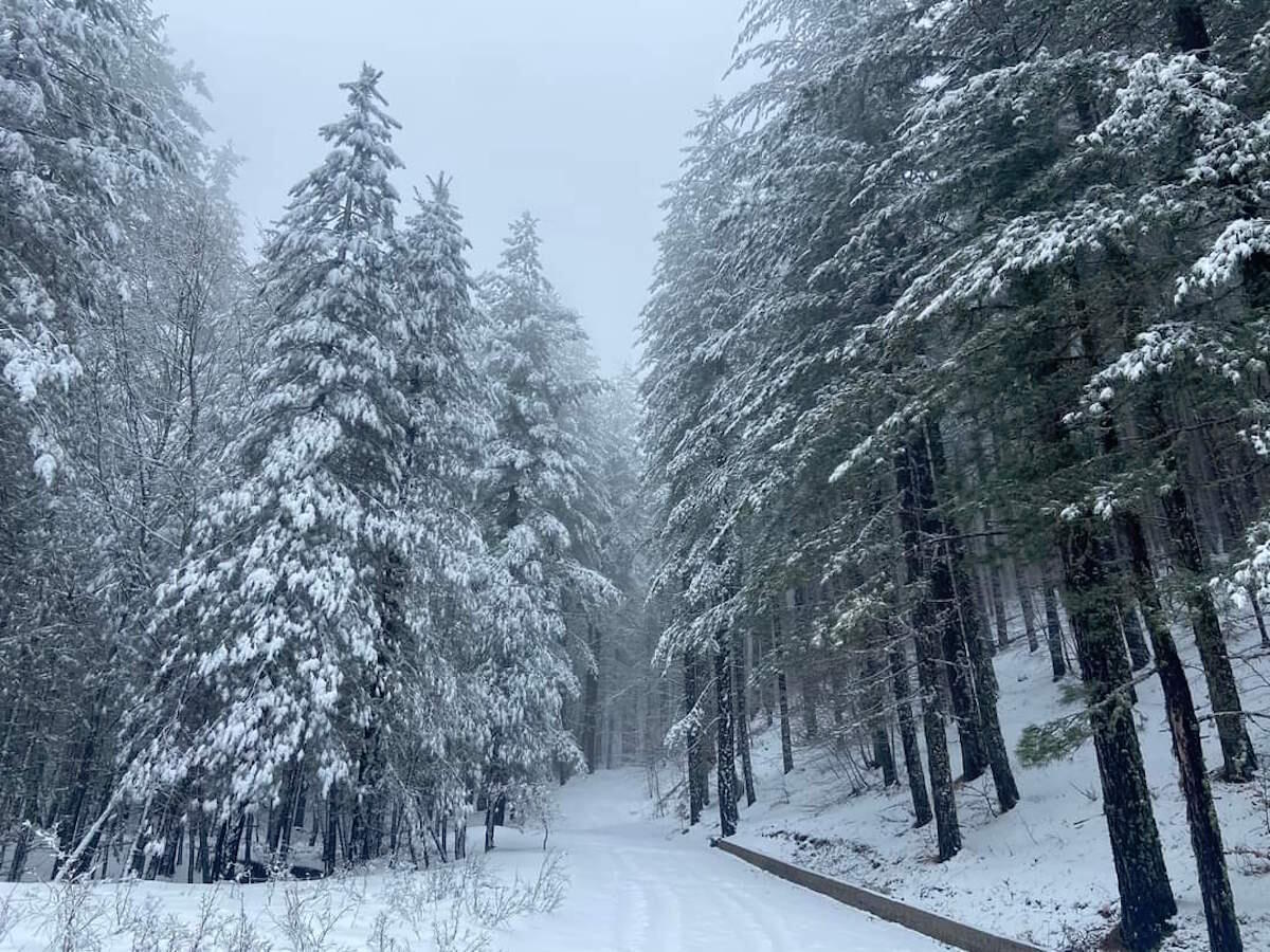 Primavera "fredda", in Sila ritorna la Neve - 