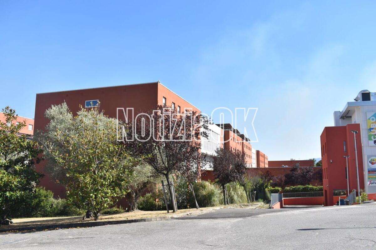 Unical, dalla cura del cancro all’ambiente: mezzo milione di euro per i brevetti high-tech - 