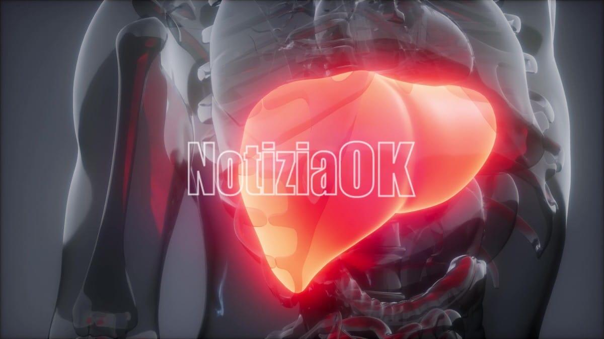 Lifestyle - Un fegato depurato è un alleato di benessere - science anatomy scan of human liver glowing
