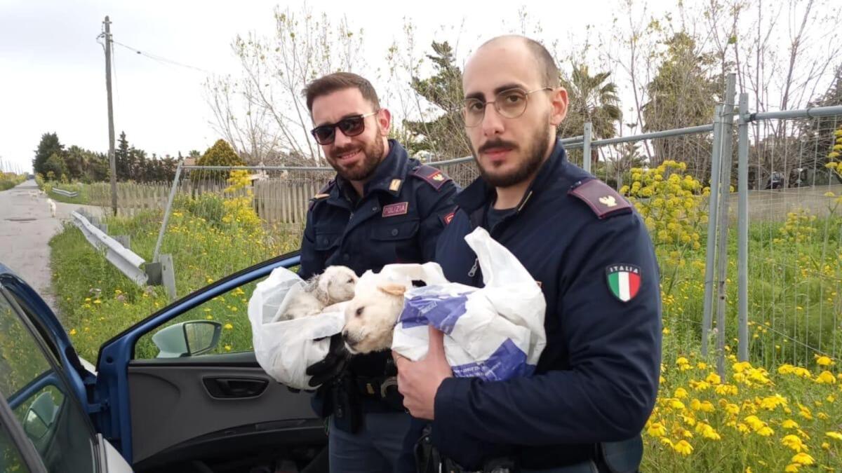 Crotone, agenti delle Volanti della Polizia salvano due cuccioli di cane - 