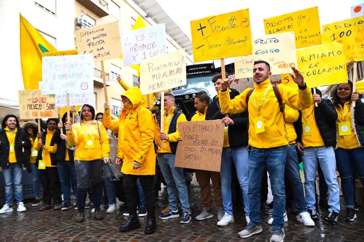 Coldiretti Calabria: cala il consumo di frutta del 9%. I dati del “frutteto Calabria” - 
