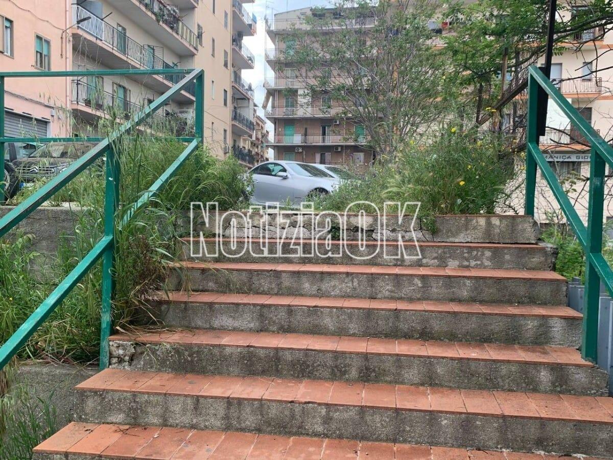 Nei quartieri di Crotone: anche le scalinate si tingono di verde -