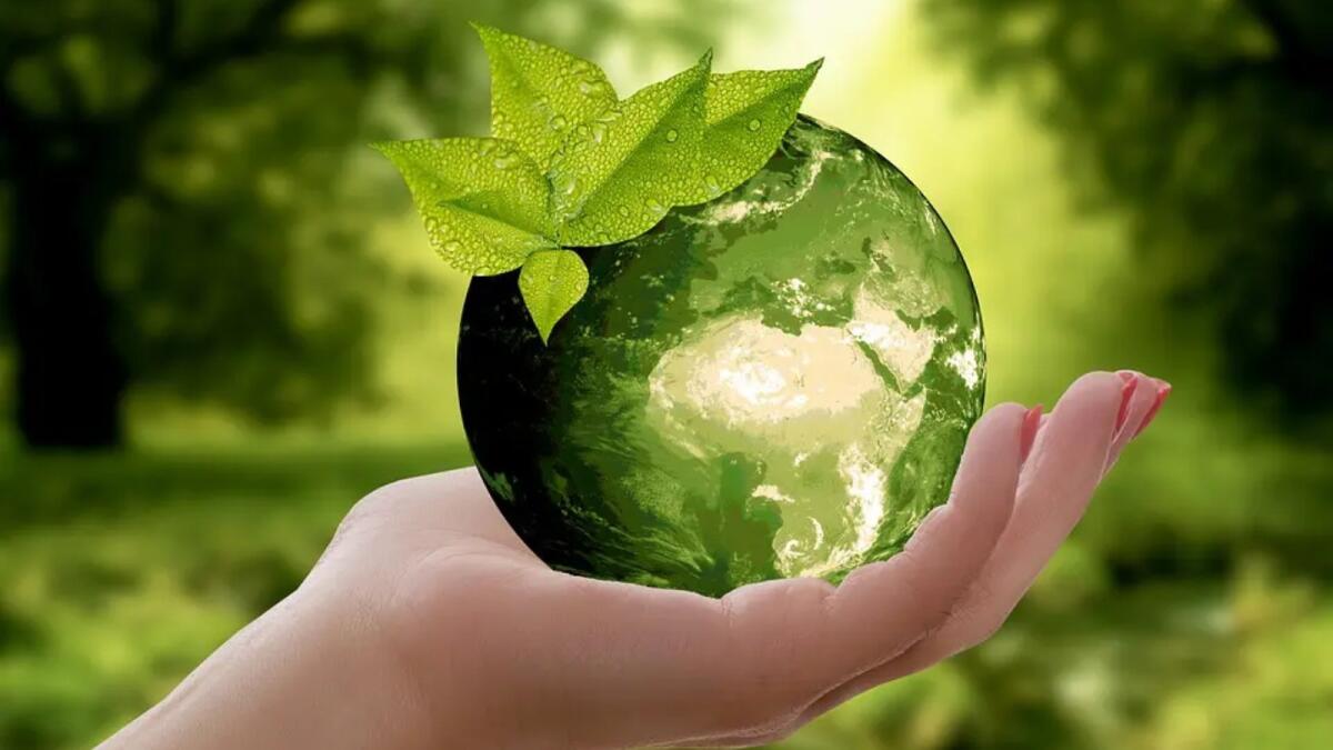 Petilia Policastro, il 1 giugno appuntamento con la Giornata Ecologica - 