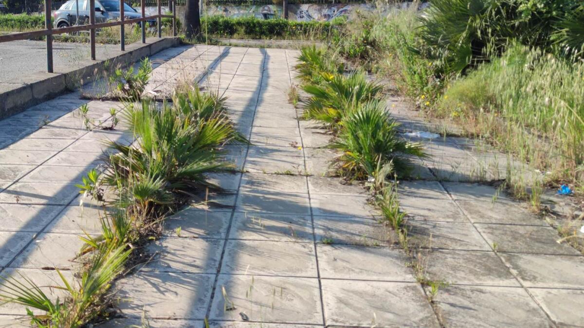 Nei quartieri di Crotone: tanto, troppo e inaccettabile degrado in città - 
