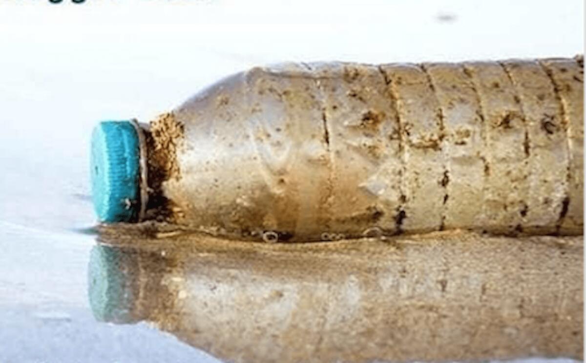 Calabria, ritorna Plastic Free: appuntamento anche nel crotonese - 