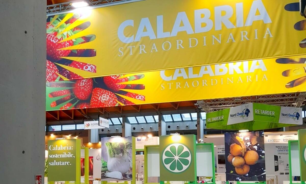 Fratelli d'Italia Crotone: "Più risorse per i giovani in agricoltura: no al cibo sintetico" - 